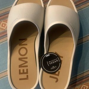 Lemon Jelly Slides